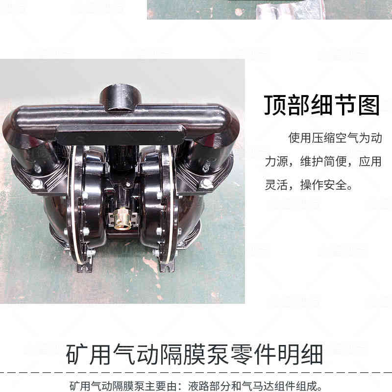 BQG450氣動(dòng)隔膜泵